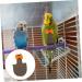 PopetPop Flying Bird Diapers - Reusable Cotton Diaper Pants for Small Birds Pigeons & Parrots | International Shipping - Buy Online on SooperMarket.com
