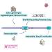 Shop Kittyrama Cat & Kitten Collars - Vogue Approved Vet-Approved Hypoallergenic & Comfortable - Mauve & Other Styles Available - Buy Online on SooperMarket.com
