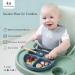 Baby Silicone Suction Divided Plate Non-Toxic, BPA-Free, Waterproof, Dishwasher Safe Easy to Clean Pink - Buy Online on SooperMarket.com