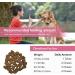 Premium Dog Probiotics 5BIL CFUs | 12 Strains Good Bacteria for Gut & Skin Health | Immune Support & Itch Relief | Salmon Flavored Chews for All Breeds & Ages - Buy Online on SooperMarket.com