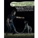 Jogging Lines for Dogs | Healay Belt Bag for Running Hiking & Leash | Reflective Double Handle for Large Medium Small Breeds - Green - Buy Online on SooperMarket.com