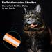Mouyou Airtag Cat Neck Band - Soft Nylon Reflective Collar with Bell & Safety Clasp Adjustable 22-34cm Orange - Track Your Cat with Airtag Holder - Buy Online on SooperMarket.com