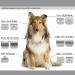 BESTBOMG 2 Pack Dog Grooming Replacement Blades Compatible with Heiniger/Moser Max45/Andis/Oster A5 Dog Clippers Size 40# 1/100" (0.25mm) Cutting Length 12 UK S - Buy Online on SooperMarket.com