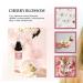 Clean-n-Fresh Body Spray for Women Body Mist Fragrance Mist Gift Sets Pack of 3 Each 3.4 Fl Oz Total 10.2 Fl Oz Cherry Blossom - Buy Online on SooperMarket.com