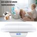 Raincol Baby Scale  Pet Scale  Multi-Function Toddler Scale  Digital Baby Scale  Blue Backlight  Weight and Height Track. - Buy Online on SooperMarket.com