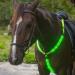TYTOGE LED Horse Breatplate Collar Night Visible LED Horse Chest Collar Luminous Horse Chest Strap Safety Gear in Night Equipment Green - Buy Online on SooperMarket.com