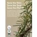 AROMATICA Vitalizing Rosemary Firming Ampoule Serum 30ml - Best Anti-Aging Retinol Serum for Face Moisturizing & Strengthening Skin Barrier - Shop Internationally - Buy Online on SooperMarket.com