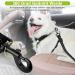 Buy Taval Adjustable Dog Seat Belt for Small & Large Dogs - Safe Car Travel | ISOFIX Compatible - Buy Online on SooperMarket.com