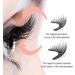 Elaracraft Magnetic Eyelashes Glowze Magnetic Eyelashes Double Sided Magnetic Eyelashes Elaracraft Magnetic Lashes Magnetic Eyelashes with Applicator(B01) - Buy Online on SooperMarket.com