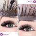Eyelash Cleanser Concentrate 100ml Lavender Professional Lash Shampoo Foaming Cleanser DIY Paraben & Sulfate Free Non-lrritating Wash for Extensions Lashes with Salon Home Care-Makes 10 Bottles Lavender 1 count (Pack of 1) - Buy Online on SooperMarket.com