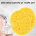 20 PCS Turmeric Cleansing Pads Reusable Facial Sponges Soft Absorbent Tumeric Pads Multipurpose Turmeric Face Pads for Daily Facial Cleansing Makeup Remover - Buy Online on SooperMarket.com