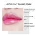 Petansy 3 Colors Jelly Flower Lipstick Set - Waterproof and Durable Lip Makeup - Gift Box Included (3 Pcs) - Buy Online on SooperMarket.com