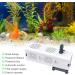 Shop High-Quality 60L Aquarium Interior Filters & Pumps | Best Filters for Aquariums & Shrimp Tanks - International Shipping Available - Buy Online on SooperMarket.com