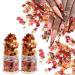 Nail Art Holographic Glitter Fall Maple Leaf Shaped Flakes 2 Pot,Red Yellow Orange Glitter Sequins 3D Mixed Metallic Maple Glitter Nail Art Design Spangles for Acrylic Nail Kit Manicure Decorations