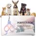 EooCoo Pets Nail Clippers with Safety Lock - S Pink+Purple - Buy Online on SooperMarket.com