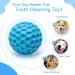 Nobleza Indestructible Dog Ball - 8cm Natural Rubber Squeaky Interactive Toy for Dogs | Robust & Durable - Buy Online on SooperMarket.com