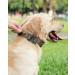 Joyal Tactical Dog Collar | Adjustable Dog Collar with Handle for Medium-Sized Dogs | QR Code Feature | Durable Khaki Design - Buy Online on SooperMarket.com
