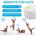 Interactive Cat Toy - All For Paws Flutter Bug Wand with Motion-Activated Butter-fly - Buy Online on SooperMarket.com
