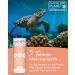 Premium Norwegian Salmon Oil for Dogs - 1L Omega 3 & 6 Supplement | Natural Atlantic Salmon - Buy Online on SooperMarket.com