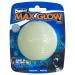 Chuckit - Max Glow Ball Medium - phosphorescent ball for dogs - rubber ball - soft in the mouth - increases the complicity - size medium - diameter 6.5 cm medium