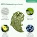 Plantifique Organic Clay Mask with Avocado & Green Tea - Vegan Skincare for Radiant Skin - Buy Online on SooperMarket.com