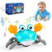 EucoCococo toys from 1 2 year young girls crab baby toys from 6-12 months girl young crawling crab gifts for children games from 1-3 years of learning toys for children Tummy time toys