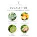 Thymes Eucalyptus Cologne - 1.75 Fl Oz | Refreshing Fragrance - Buy Online on SooperMarket.com