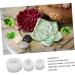 3pcs Silicone Mold Candle Molds Soap Mold Simulation Succulent Plants Molds Aromatherapy Candle Mold Handmade Soap Making Mold Scented Candle Mold Silica Gel Epoxy Abrasives Transparent 4.9X4.5X2.9CM - Buy Online on SooperMarket.com