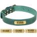 Tagme Personalized Leather Dog Collar - Engraved Name & Phone Number | Adjustable Green Collar for Small Medium & Large Dogs (33-39cm) - 1 Pack - Buy Online on SooperMarket.com