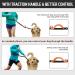 Unipampa Jogging Dog Leash - Hands-Free Reflective Double Handle - Perfect for Small & Medium Dogs - 120-170 cm - Orange - Buy Online on SooperMarket.com