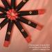 CoralBeau 12-Piece Matte Lipstick Set - Waterproof Crayon Pack with Nude Pink, Mauve & Red Shades - Long-Wearing Formula for Rich Color & Velvety Finish - Buy Online on SooperMarket.com
