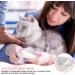 Buy Badaren Cat Muzzle - Breathable Adjustable Mask for Cat Care | Top Quality Mouth Cover with Mesh & PVC Protection (Medium) - Buy Online on SooperMarket.com