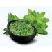 QURA Stevia Leaves (Dried) -100 GM - Buy Online on SooperMarket.com