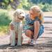 Nobby Soft Grip Leash - Light Green & Brown 200 cm Long 15 mm Wide | Premium Dog Leash for Comfort & Style - Buy Online on SooperMarket.com