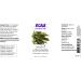 Now Foods Citronella Essential Oil 4 fl oz | Natural Bug Repellent & Aromatherapy - Buy Online on SooperMarket.com