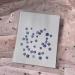 YUNZHI Forget Me Not Flowers - Dried Pressed Flowers for Resin, Candle, Soap Making - 40pcs/Pack - Buy Online on SooperMarket.com