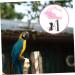 Beavorty 4 Sets Bird Leash Suspend Bird Training Bird Flying Harness Bird Harness Leashes Vest Clothing 12X6X1.3CMx4pcs Pinkx4pcs - Buy Online on SooperMarket.com