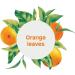 ATTITUDE Liquid Hand Soap 16 Fl Oz - Vegan & Cruelty-free, Plant-Based Formula with Orange Leaves - Personal Care Product - Buy Online on SooperMarket.com