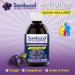 Sambucol Black Elderberry Anti-Viral Flu Care Syrup | Quickly Relieves Cold & Flu Symptoms | Immune Support & Antioxidant | Ideal for Families | 500 mL Anti-Viral Flu Care 500 ml (Pack of 1) - Buy Online on SooperMarket.com