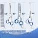 6.7 Inch Stainless Steel Dog Grooming Scissor Kit with Safety Round Tips - Pet Grooming Shears Set with Thinning & Curved Scissors for Hair Fur Care - Buy Online on SooperMarket.com
