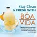 BoaVida Deodorizing Citrus Plus Elder Shampoo & Body Wash - Persimmon Formula to Eliminate Nonenal & Odors - 1 Gallon | International Shipping Available - Buy Online on SooperMarket.com