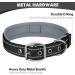Joytale Softly Padded Neoprene Dog Collar for Small Dogs - Reflective Nylon Wide Collar - Black (1 Pack) - Buy Online on SooperMarket.com