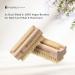Hydrea Extra Robust Wooden Nail Brush Set - Firm Cactus Bristles | 2 Pieces | International Shipping Available - Buy Online on SooperMarket.com