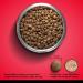 Zoe Grain Free Dog Food All Breed & Life Stages Beef with Peas & Pumpkin Recipe 5 kg Beef 5 kg (Pack of 1) - Buy Online on SooperMarket.com