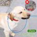 2 Pack Chew Proof Dog Leash Extension Metal Cable Lead Non-Tangle Connect Leash for Any Leash Heavy Duty Dog Leash Extender for Collar & Harness (Black+Blue) - Buy Online on SooperMarket.com