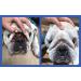 Squishface Wrinkle Wipes 6x8 Large Chlorhexidine Dog Wipes - Anti-Itch, Deodorizing, Tear Stain Remover for English Bulldog, Pugs, Frenchie, Bulldogs & More! - Buy Online on SooperMarket.com