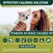WEALLIN Calming Diffuser for Dogs Anxiety Relief 3-in-1 Dog Calming Plug In with 1 Diffuser +2 Refill 48ml Vial for 60-Day Use Calming Dog and Anxiety Relief Dog 1 diffuser 2 refills - Buy Online on SooperMarket.com