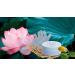 L'Erbolario Alba in Asia Balsamo di Bellezza per le Mani con guanti 75 ml 75 ml - Buy Online on SooperMarket.com
