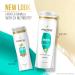 Buy Pantene Frizz Control Shampoo - Smooth & Sleek for Color-Treated Hair 355 mL - International Shipping Available - Buy Online on SooperMarket.com