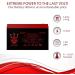 Buy Commercial Upgrade Battery for Wildgame Innovations | 12V 7.5Ah eDRENALINE Rechargeable Tab Style Battery - Fast International Shipping - Buy Online on SooperMarket.com